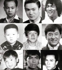 Bruce Lee Instagram - Evolutions ✨