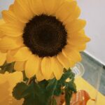 Bruna Tatar Instagram - 17/07- mais uma volta ao sol 🌻💛🌼🍯☀️🥳