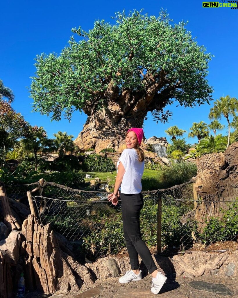 Bruna Tatar Instagram - photo dump day 2 tô gringa 🌳🌴🌸💕🐷 Walt Disney World Animal Kingdom