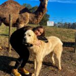 Bruna Tatar Instagram – sim. eu, um cachorro e um camelo. 🐪🐶 Comer, Georgia