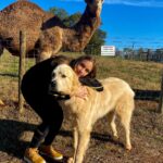 Bruna Tatar Instagram - sim. eu, um cachorro e um camelo. 🐪🐶 Comer, Georgia