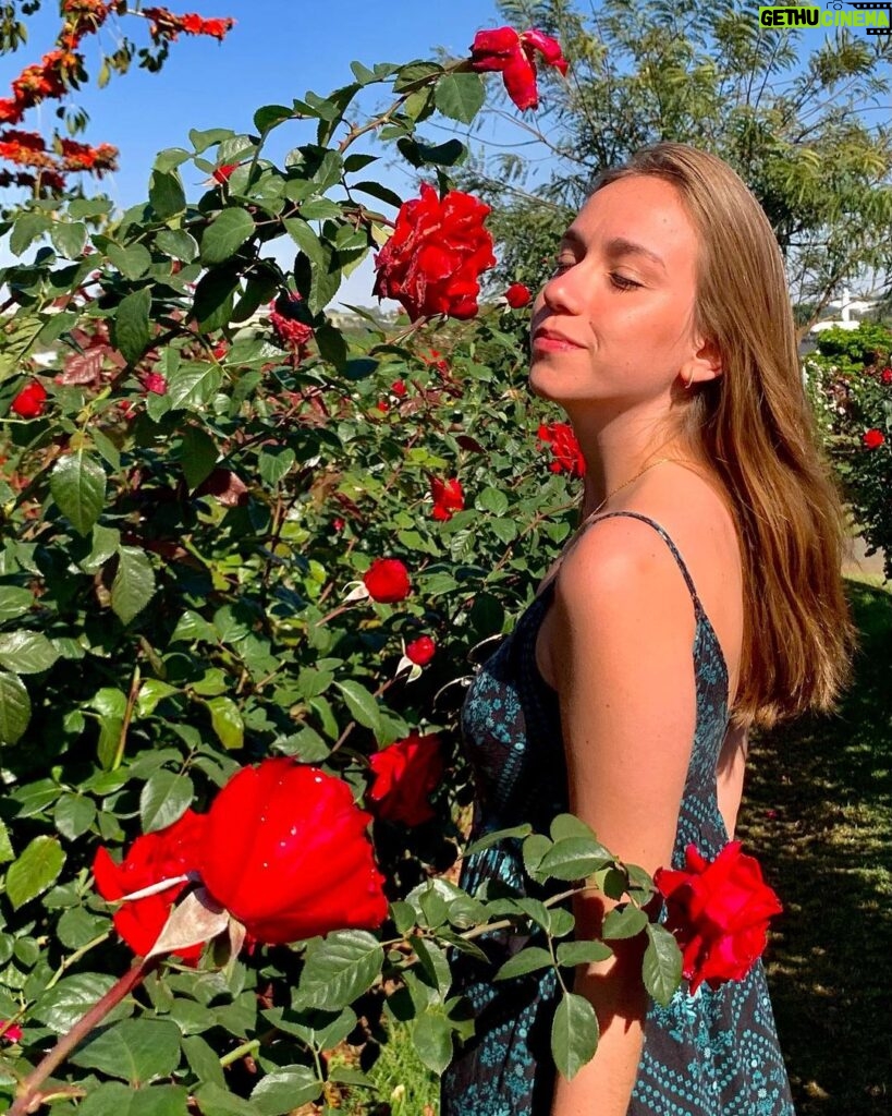 Bruna Tatar Instagram - aberta a temporada de feed florido, começando por essas belezinhas 🌹🌹🌹🌹🌹🌹