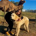 Bruna Tatar Instagram – sim. eu, um cachorro e um camelo. 🐪🐶 Comer, Georgia
