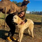 Bruna Tatar Instagram - sim. eu, um cachorro e um camelo. 🐪🐶 Comer, Georgia