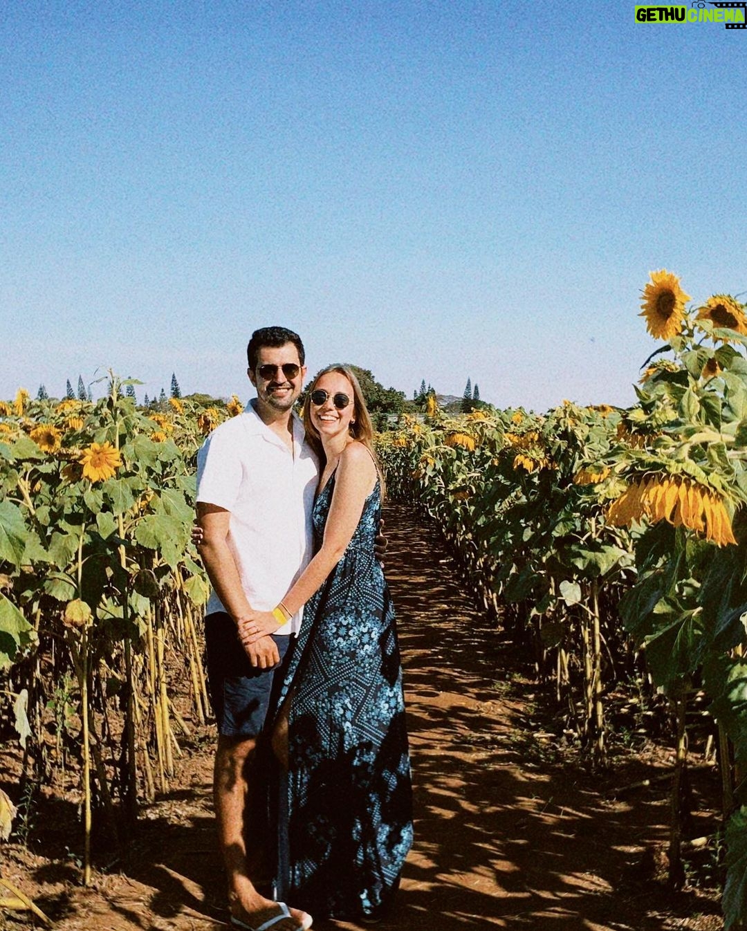 Bruna Tatar Instagram - minhas fotos preferidas com minhas flores preferidas da vida, deu vontade de chorar 🌻🌻🌻🌻🌻🌻🌻🌻🌻🌻🌻🌻🌻🌻🌻