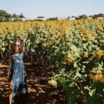 Bruna Tatar Instagram - minhas fotos preferidas com minhas flores preferidas da vida, deu vontade de chorar 🌻🌻🌻🌻🌻🌻🌻🌻🌻🌻🌻🌻🌻🌻🌻