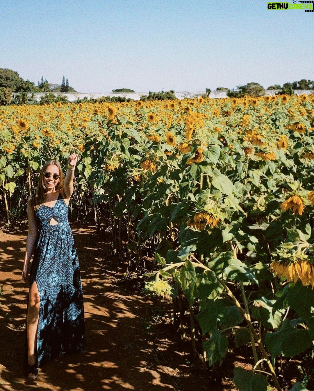 Bruna Tatar Instagram - minhas fotos preferidas com minhas flores preferidas da vida, deu vontade de chorar 🌻🌻🌻🌻🌻🌻🌻🌻🌻🌻🌻🌻🌻🌻🌻