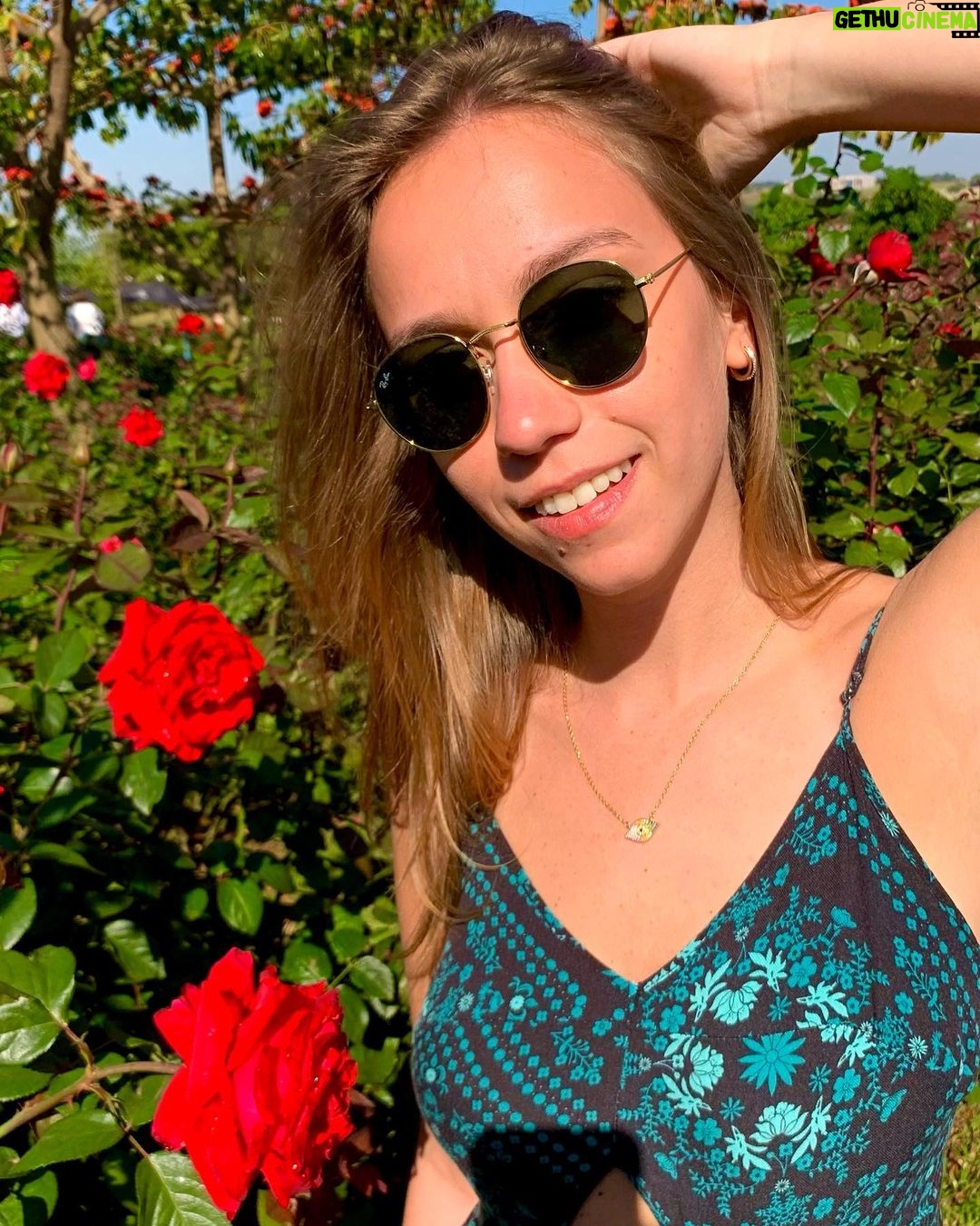 Bruna Tatar Instagram - aberta a temporada de feed florido, começando por essas belezinhas 🌹🌹🌹🌹🌹🌹