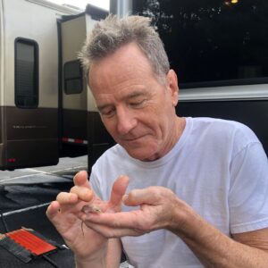 Bryan Cranston Instagram - Gecko Motel

While shooting a movie in Atlanta I’m renting a house in a cool neighborhood to get connected with the city. However a neighbor couple, ”the roaches” have also moved in. I put out a glue trap so that I can send them home… But instead I caught this handsome lad. 

Panicked, and feeling awful, I brought him to work and asked Tiesha Haynes, one of our great production assistants, if she could help me out with the lizard while I was being called onto the set. 

After Googling “How to free a lizard from a glue trap” (not kidding), Tiesha gently did just that. What a hero. She saved his life, and my guilt. Lazarus, came back from certain doom to be in pretty good shape. 

He was eager to get on with his life in a lush, natural habitat. And I learned my lesson - no more glue traps, only natural deterrents for bad neighbors from now on. 

Thanks Tiesha. Good luck, Lazarus.

@tieshalasha13