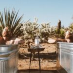 Bryan Cranston Instagram - Two guys laying around in two cowboy bathtubs celebrating two glorious years of slinging the best Mezcal out there. Happy birthday @Doshombres! It’s been a beautiful ride so far and it’s just the beginning. Salud.🥃