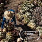 Bryan Cranston Instagram - We’re so incredibly proud of this award. Today we’re raising a glass to everyone on the ground at our beautiful palenque. Such an honor. Thank you to everyone for the hard work and commitment to making Dos Hombres the best there is. Salud! 🥃