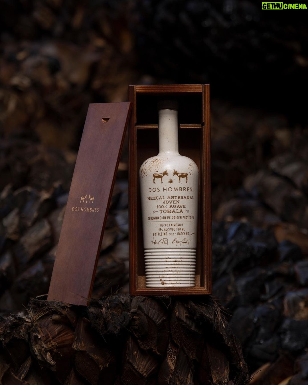Bryan Cranston Instagram - We couldn't be more excited to be launching our Tobala Mezcal today. 25 years. That's how long it took to grow the Tobala agave that made this beautiful Mezcal possible. Produced in San Luis del Rio, a special village, and one of our favorite places on earth. We're so excited to be able to share this spirit and village with you. Link in bio for more information. Salud! - AP & BC