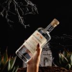 Bryan Cranston Instagram - It’s Halloween. Meaning we’re spending today drinking @DosHombres cocktails and eating nothing but candy. We’ll be posting some of our favorite Halloween cocktails throughout the day on our stories. Have a safe, spooky and Mezcal filled Halloween everyone 🥃 🎃