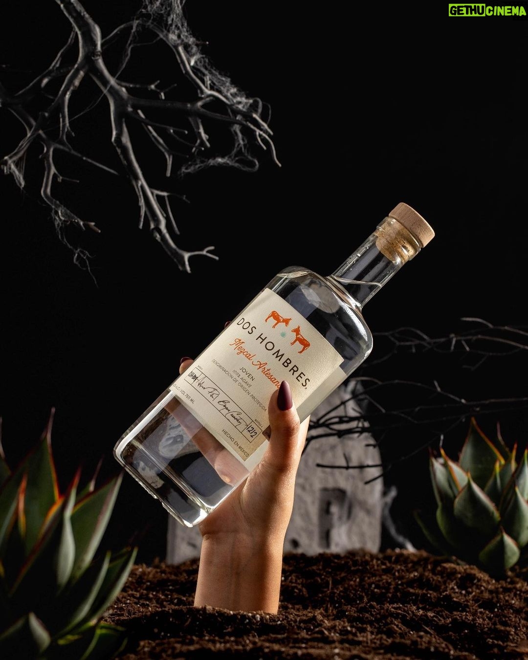Bryan Cranston Instagram - It’s Halloween. Meaning we’re spending today drinking @DosHombres cocktails and eating nothing but candy. We’ll be posting some of our favorite Halloween cocktails throughout the day on our stories. Have a safe, spooky and Mezcal filled Halloween everyone 🥃 🎃