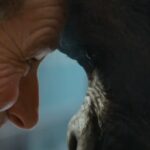 Bryan Cranston Instagram - Check out this clip from my movie coming out next month. Based on a true story about a guy who adopts a gorilla! Beautiful story, at just the time when we need a feel-good movie. Gather the family. Pop some corn. And take in the magic of Ivan! Coming soon on Disney+