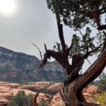 Bryan Safi Instagram – Merry Christmas from Mars/Sedona. Or as Fauci would say, “Sedoner.”