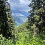 Bryan Safi Instagram - Last Alps post seacrest out