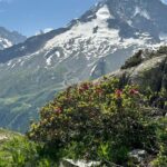 Bryan Safi Instagram - In 2023 I hiked the Tour du Mont Blanc and through the Swiss, Italian and French Alps. It was absolutely hideous and I made fun of it the entire time
