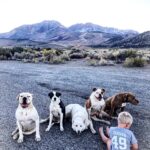 Burt Jenner Instagram – #PeeBreak on the #395north headed to Idaho…