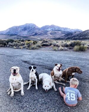 Burt Jenner Instagram - #PeeBreak on the #395north headed to Idaho...