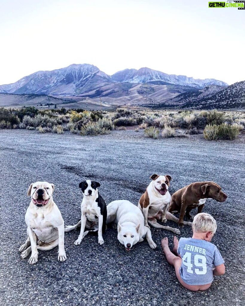 Burt Jenner Instagram - #PeeBreak on the #395north headed to Idaho...