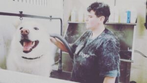 Burt Jenner Instagram - #huskies
Now ya know...
