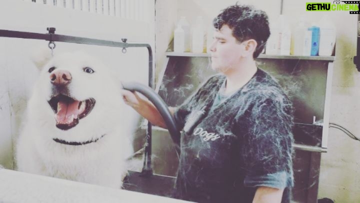 Burt Jenner Instagram - #huskies Now ya know... West la Dogs