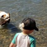 Burt Jenner Instagram – My girl @margaritadelrey didn’t want to accept the “stick throwing session” was over… We had a nice day lakeside chillin
#LakeTahoe
#AmericanBulldog
#syringomyelia