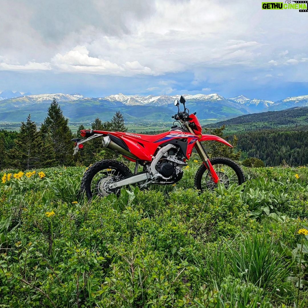 Burt Jenner Instagram - Feel like I'm not supposed to be riding without a 10mm on my chest if I'm going to be crossing these trails solo... stopped to take this picture and immediately felt the urge to check the tree line lol... if you've ever seen the "bear come out of the ground moto video" you know what I'm talking about... having said that, the locals say the bears ain't shit compared to the moose... evidently the biggest moose I've ever seen, 5 minutes before this photo, was still haunting me... @idaho_pilot where you at?!?