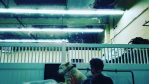Burt Jenner Instagram - #huskies
Now ya know...
