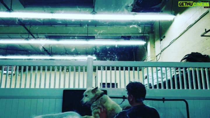Burt Jenner Instagram - #huskies Now ya know... West la Dogs