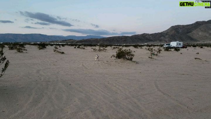 Burt Jenner Instagram - Man... can we have a government shutdown for #KingOfTheHammers too? So nice in the desert without the boys... #Libertarian . P.S. Margi keeps improving and regaining leg control... Just holding my breath and trying to continue what we doing... Constant small walks... Johnson Valley, California