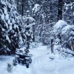 Burt Jenner Instagram - Made it up to the cabin yesterday on the quad, lol... Went to take the snowmobile trailer and realized my dumbass had taken my hitch off the truck, said screw it and rode the quad dirty to the property entrance with Oso on my seat... Quad made it twice as far as I expected, but couldn't climb the steep obviously, hiked the rest... Valerie and I are very stoked, this weekend we closed on the 160 acres next to our 40, the parcel was essentially the only possibility of having a neighbor as the rest is national forest. No neighbors for me Ty... Just wanted to ensure my boys know what real camping is like. Sad that in today's day in age most kids only know pulling up on a paved road, to paved parking spot, a picnic table, a fire pit, good ole leash laws, and some random family doing the same thing 10 yards away, while the Rangers make their rounds every hour to check and make sure you are following the rules... Not to mention 99% of those camp grounds are closed when there is snow on the ground. It's no #Area241 yet, but we are one step closer, just had to ensure it stays that way for a while... Hope Valley, California