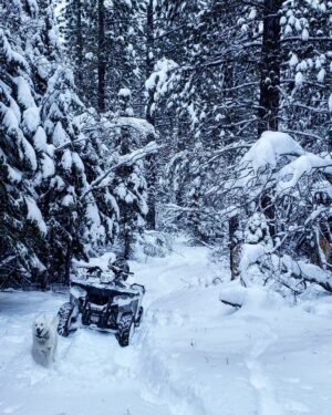 Burt Jenner Instagram - Made it up to the cabin yesterday on the quad, lol... Went to take the snowmobile trailer and realized my dumbass had taken my hitch off the truck, said screw it and rode the quad dirty to the property entrance with Oso on my seat... Quad made it twice as far as I expected, but couldn't climb the steep obviously, hiked the rest... Valerie and I are very stoked, this weekend we closed on the 160 acres next to our 40, the parcel was essentially the only possibility of having a neighbor as the rest is national forest. No neighbors for me Ty... Just wanted to ensure my boys know what real camping is like. Sad that in today's day in age most kids only know pulling up on a paved road, to paved parking spot, a picnic table, a fire pit, good ole leash laws, and some random family doing the same thing 10 yards away, while the Rangers make their rounds every hour to check and make sure you are following the rules... Not to mention 99% of those camp grounds are closed when there is snow on the ground.
It's no #Area241 yet, but we are one step closer, just had to ensure it stays that way for a while...