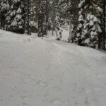 Burt Jenner Instagram - Made it up to the cabin yesterday on the quad, lol... Went to take the snowmobile trailer and realized my dumbass had taken my hitch off the truck, said screw it and rode the quad dirty to the property entrance with Oso on my seat... Quad made it twice as far as I expected, but couldn't climb the steep obviously, hiked the rest... Valerie and I are very stoked, this weekend we closed on the 160 acres next to our 40, the parcel was essentially the only possibility of having a neighbor as the rest is national forest. No neighbors for me Ty... Just wanted to ensure my boys know what real camping is like. Sad that in today's day in age most kids only know pulling up on a paved road, to paved parking spot, a picnic table, a fire pit, good ole leash laws, and some random family doing the same thing 10 yards away, while the Rangers make their rounds every hour to check and make sure you are following the rules... Not to mention 99% of those camp grounds are closed when there is snow on the ground. It's no #Area241 yet, but we are one step closer, just had to ensure it stays that way for a while... Hope Valley, California