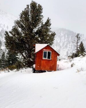 Burt Jenner Instagram - Made it up to the cabin yesterday on the quad, lol... Went to take the snowmobile trailer and realized my dumbass had taken my hitch off the truck, said screw it and rode the quad dirty to the property entrance with Oso on my seat... Quad made it twice as far as I expected, but couldn't climb the steep obviously, hiked the rest... Valerie and I are very stoked, this weekend we closed on the 160 acres next to our 40, the parcel was essentially the only possibility of having a neighbor as the rest is national forest. No neighbors for me Ty... Just wanted to ensure my boys know what real camping is like. Sad that in today's day in age most kids only know pulling up on a paved road, to paved parking spot, a picnic table, a fire pit, good ole leash laws, and some random family doing the same thing 10 yards away, while the Rangers make their rounds every hour to check and make sure you are following the rules... Not to mention 99% of those camp grounds are closed when there is snow on the ground.
It's no #Area241 yet, but we are one step closer, just had to ensure it stays that way for a while...