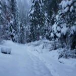 Burt Jenner Instagram – Made it up to the cabin yesterday on the quad, lol… Went to take the snowmobile trailer and realized my dumbass had taken my hitch off the truck, said screw it and rode the quad dirty to the property entrance with Oso on my seat… Quad made it twice as far as I expected, but couldn’t climb the steep obviously, hiked the rest… Valerie and I are very stoked, this weekend we closed on the 160 acres next to our 40, the parcel was essentially the only possibility of having a neighbor as the rest is national forest. No neighbors for me Ty… Just wanted to ensure my boys know what real camping is like. Sad that in today’s day in age most kids only know pulling up on a paved road, to paved parking spot, a picnic table, a fire pit, good ole leash laws, and some random family doing the same thing 10 yards away, while the Rangers make their rounds every hour to check and make sure you are following the rules… Not to mention 99% of those camp grounds are closed when there is snow on the ground.
It’s no #Area241 yet, but we are one step closer, just had to ensure it stays that way for a while… Hope Valley, California