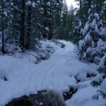 Burt Jenner Instagram - Made it up to the cabin yesterday on the quad, lol... Went to take the snowmobile trailer and realized my dumbass had taken my hitch off the truck, said screw it and rode the quad dirty to the property entrance with Oso on my seat... Quad made it twice as far as I expected, but couldn't climb the steep obviously, hiked the rest... Valerie and I are very stoked, this weekend we closed on the 160 acres next to our 40, the parcel was essentially the only possibility of having a neighbor as the rest is national forest. No neighbors for me Ty... Just wanted to ensure my boys know what real camping is like. Sad that in today's day in age most kids only know pulling up on a paved road, to paved parking spot, a picnic table, a fire pit, good ole leash laws, and some random family doing the same thing 10 yards away, while the Rangers make their rounds every hour to check and make sure you are following the rules... Not to mention 99% of those camp grounds are closed when there is snow on the ground. It's no #Area241 yet, but we are one step closer, just had to ensure it stays that way for a while... Hope Valley, California