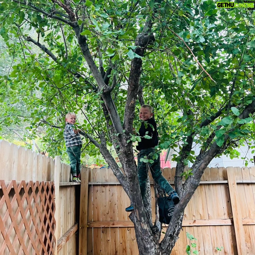Burt Jenner Instagram - Have to give momma and the kids credit! I put some love into our apple trees in Tahoe this year... the kids went crazy picking them and @valeriepitalo decided to make an apple pie from scratch... Kinda speechless how amazing it turned out!!! I think we are going to make this a yearly endeavor :-)