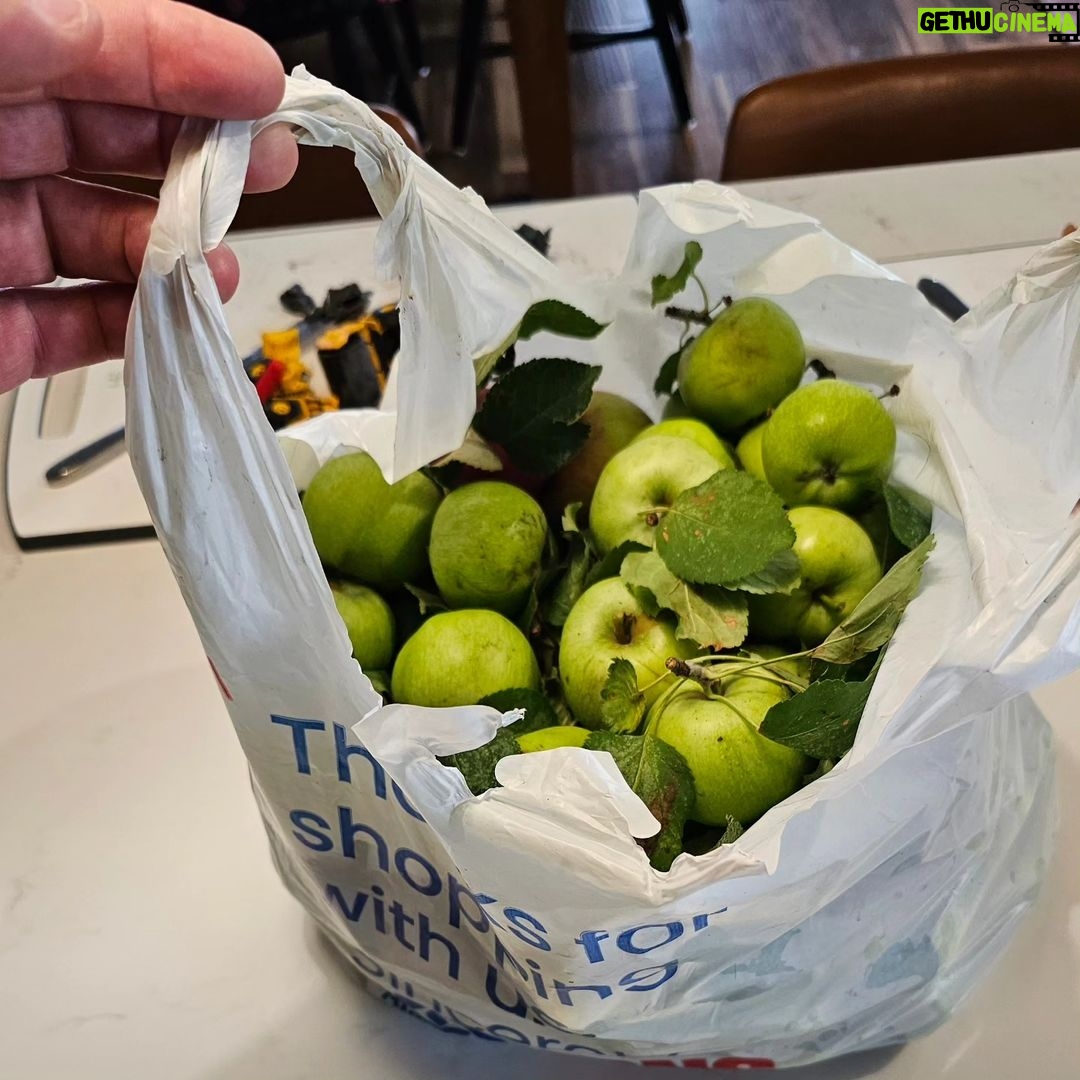 Burt Jenner Instagram - Have to give momma and the kids credit! I put some love into our apple trees in Tahoe this year... the kids went crazy picking them and @valeriepitalo decided to make an apple pie from scratch... Kinda speechless how amazing it turned out!!! I think we are going to make this a yearly endeavor :-)