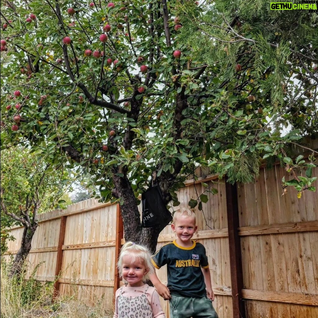 Burt Jenner Instagram - Have to give momma and the kids credit! I put some love into our apple trees in Tahoe this year... the kids went crazy picking them and @valeriepitalo decided to make an apple pie from scratch... Kinda speechless how amazing it turned out!!! I think we are going to make this a yearly endeavor :-)