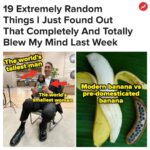 Buzzfeed Instagram - Now that is fascinating. More at the link in bio 👀