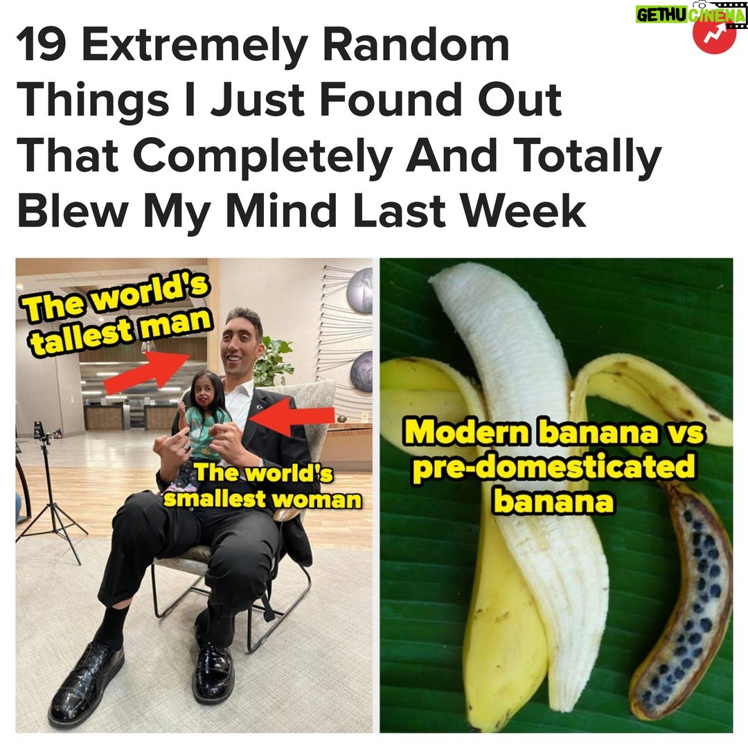 Buzzfeed Instagram - Now that is fascinating. More at the link in bio 👀