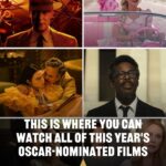 Buzzfeed Instagram - Swipe to see where to stream this years Oscar-nominated films! Link in bio to find more information on global streaming options 🍿🎥