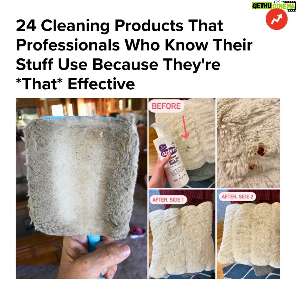 Buzzfeed Instagram - You can trust they'll do the job right the first time, because the pros give 'em the stamp of approval. ✅ Upgrade your arsenal of cleaning tools at the link in our bio 🔗