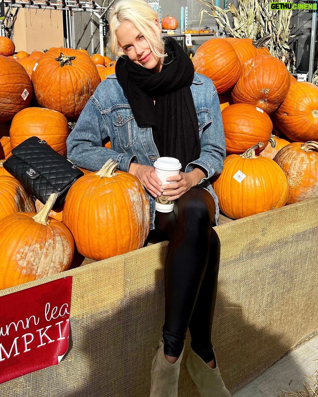 Byrdie Bell Instagram - Pumpkin spice 🎃 Old Greenwich