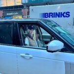 Byrdie Bell Instagram - Drive a vibe