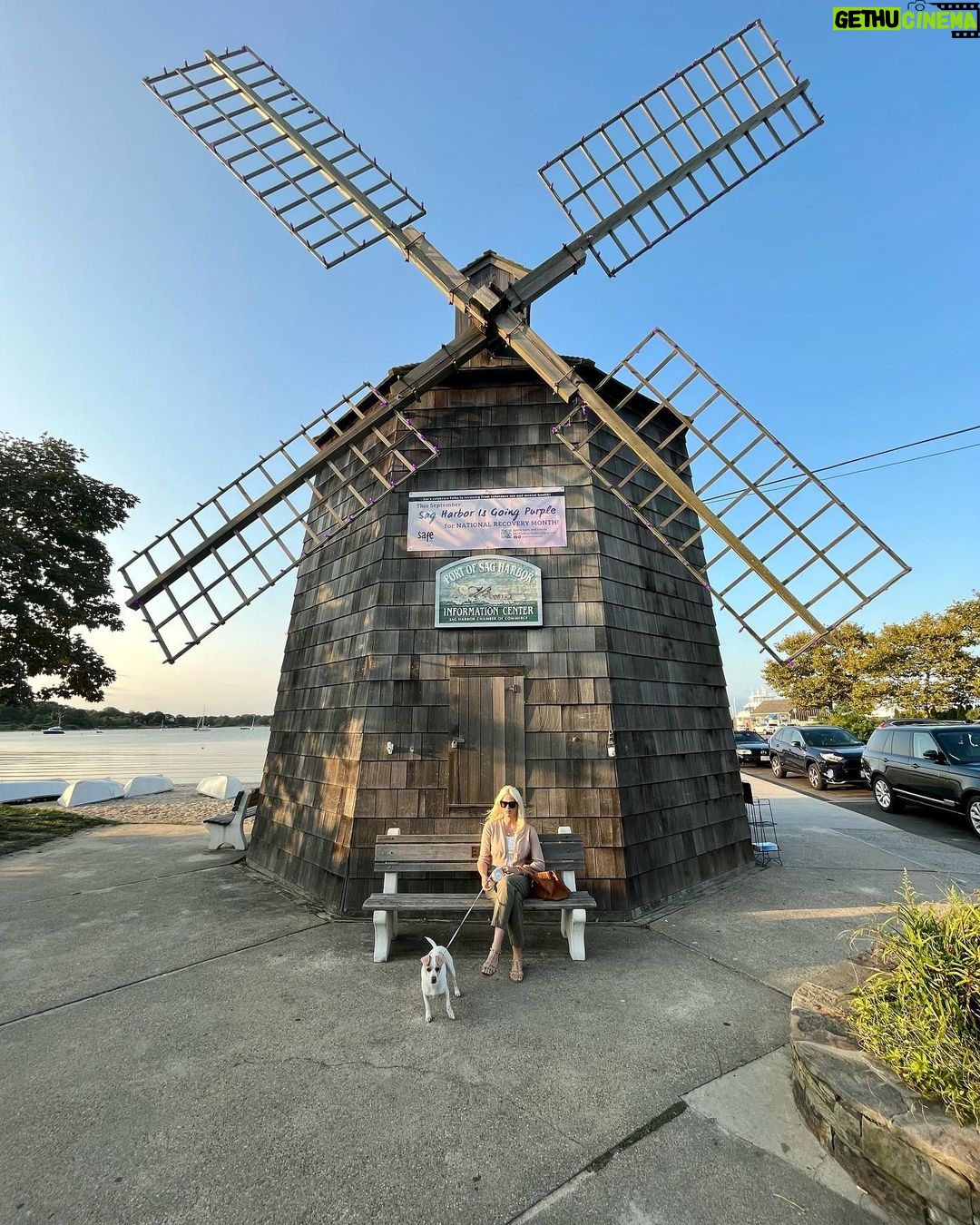 Byrdie Bell Instagram - Chewy takes the Hamptons 🐶 Southampton, New York