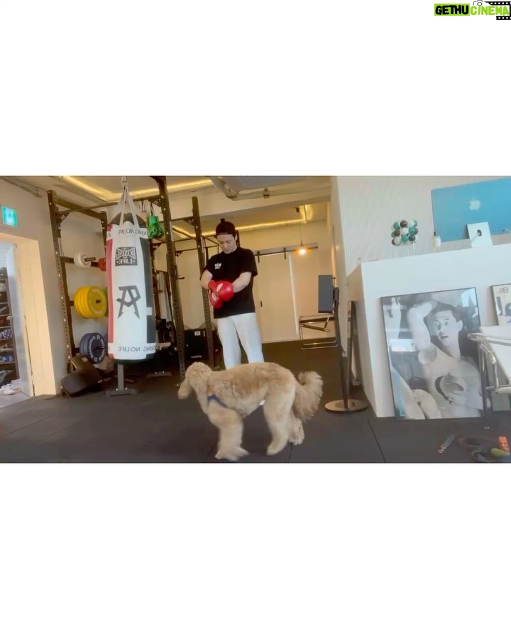Byun Yo-han - 33.1K Likes - 반한🤎