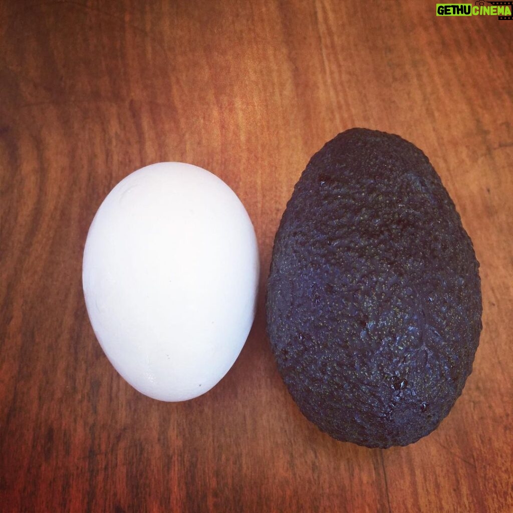 Álvaro Escobar Instagram - Que no te importe un huevo.